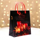 Пакет новогодний «Красота» мягкий пластик 26?23 см (комплект 10 шт) - фото 53188408