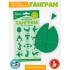 Головоломка магнитная для детей «Танграм. Яйцо», 10 деталей - Фото 1