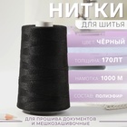 Нитки 170ЛТ, 1000 м, цвет чёрный №6818 10665633 - фото 3753601