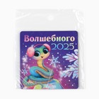 Магнит новогодний «Новый год: Волшебного 2025», 8 х 8 см 10335444 - фото 13259875