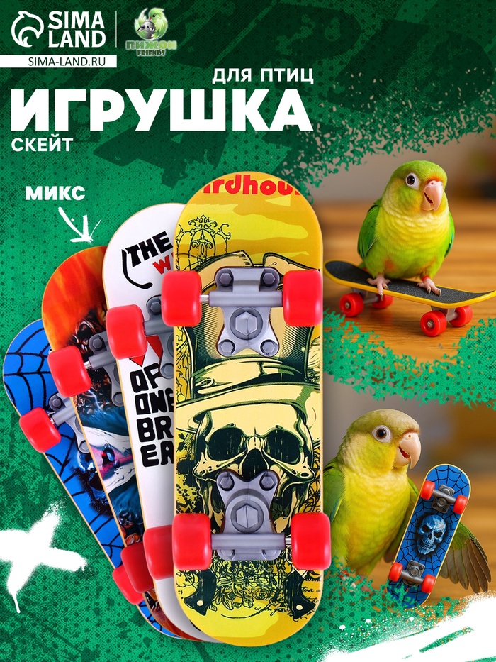 Игрушка для птиц «Скейт», МИКС - Фото 1