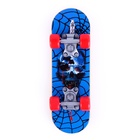 Игрушка для птиц "Скейт" микс - фото 809233155