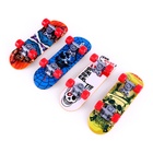 Игрушка для птиц «Скейт», МИКС - Фото 12