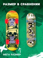 Игрушка для птиц «Скейт», МИКС - Фото 3