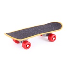 Игрушка для птиц «Скейт», МИКС - Фото 4