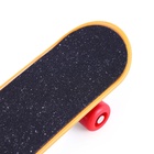 Игрушка для птиц «Скейт», МИКС - Фото 6