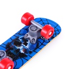 Игрушка для птиц «Скейт», МИКС - Фото 7