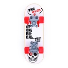 Игрушка для птиц «Скейт», МИКС - Фото 9