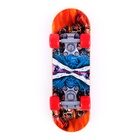 Игрушка для птиц «Скейт», МИКС - Фото 10