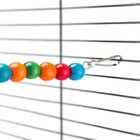 Игрушка для птиц, 50 см, цвет МИКс - Фото 3