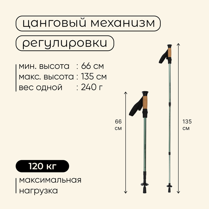 Палки треккинговые maclay Alu 100, телескопические, 2 шт.