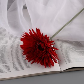 Цветы искусственные "Хризантема люкс" d-11 см, 40 см, красный