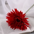 Цветы искусственные "Хризантема люкс" d-11 см, 40 см, красный - фото 809157943