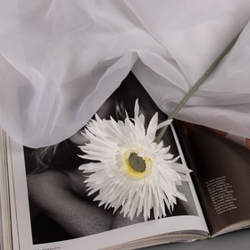 Цветы искусственные "Хризантема люкс" d-11см, 40 см, белый