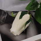 Цветы искусственные "Роза бутон бархат" 43 см, (бутон-h-7см) белый - фото 809138972