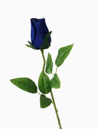 Цветы искусственные "Роза бутон бархат" 43 см, (бутон-h-7см)  синий - фото 809138977