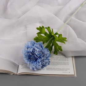 Цветы искусственные "Хризантема люкс" d-9 см,50 см, голубой