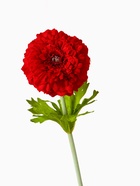 Цветы искусственные "Хризантема люкс" d-9 см, 50 см, красный - фото 809157951
