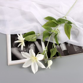 Цветы искусственные "Жасмин домашний" 60 см, белый