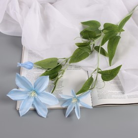 Цветы искусственные "Жасмин домашний" 60 см, голубой