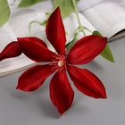 Цветы искусственные «Жасмин домашний», h=60 см, красные 10526704