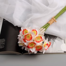 Цветы искусственные "Нарцисс люкс" диам.цветка-5см (6 штук в связке) 30 см, бело-розовый
