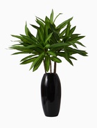 Цветы искусственные «Пальма домашняя люкс полоска», h=55 см, зелёные 10526711