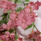 Цветы искусственные «Свинчатка плюмбаго», h=87 см, сиреневые - Фото 2