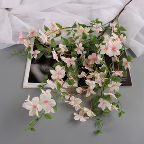 Цветы искусственные "Свинчатка плюмбаго" 87 см, бело-розовый