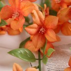 Цветы искусственные «Свинчатка плюмбаго», h=87 см, оранжевые - Фото 2