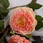 Цветы искусственные «Эустома Розанна», h=70 см, розовые - Фото 2