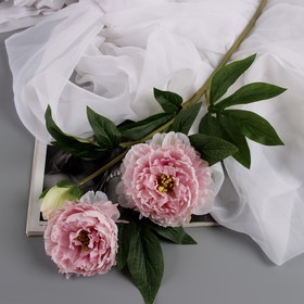 Цветы искусственные "Пион Беверли люкс" 60 см, светло-розовый