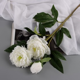 Цветы искусственные "Пион Беверли люкс" 60 см, белый