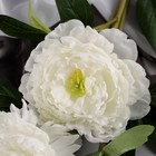 Цветы искусственные «Пион Беверли люкс», h=60 см, белые - Фото 2