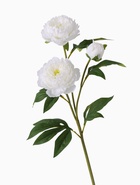 Цветы искусственные «Пион Беверли люкс», h=60 см, белые - фото 53390931