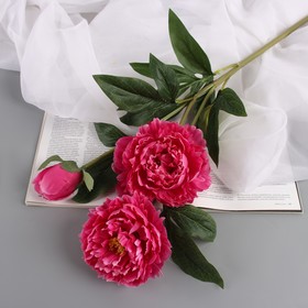 Цветы искусственные "Пион Беверли люкс" 60 см, ярко-розовый