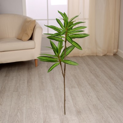 Цветы искусственные «Пальма домашняя люкс полоска», h=83 см, зелёные