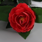 Цветы искусственные «Камелия», h=85 см, красные - Фото 3