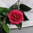 Цветы искусственные "Камелия" 85 см, ярко-розовый - фото 809121824