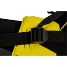 Ремень для триммера CHAMPION C4004, ранцевый, с защитой бедра - Фото 4