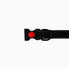 Ошейник из нейлона с фастексом 2 см, ОШ 27-40 см, черный 10502077