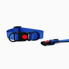 Ошейник из нейлона с фастексом 2 см, ОШ 27-40 см, синий 10502081