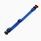 Ошейник из нейлона с фастексом 2 см, ОШ 27-40 см, синий 10502081