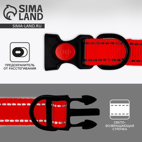 Ошейник из нейлона с фастексом 2,5 см, ОШ 31-48 см, красный