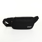 Сумка поясная на молнии, 2 наружных кармана, 36×10×14 см, чёрная - Фото 3