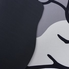 Коврик для дома Доляна «Хаски», влаговпитывающий, 59×39 см - Фото 7