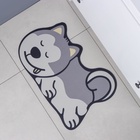 Коврик для дома Доляна «Хаски», влаговпитывающий, 59×39 см - Фото 9