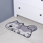 Коврик для дома Доляна «Хаски», влаговпитывающий, 59×39 см - Фото 8