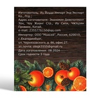 Бальзам для губ новогодний «Мандаринка» - Фото 4