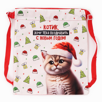 Рюкзак - мешок детский новогодний «Котик в шапке», 35×30 см